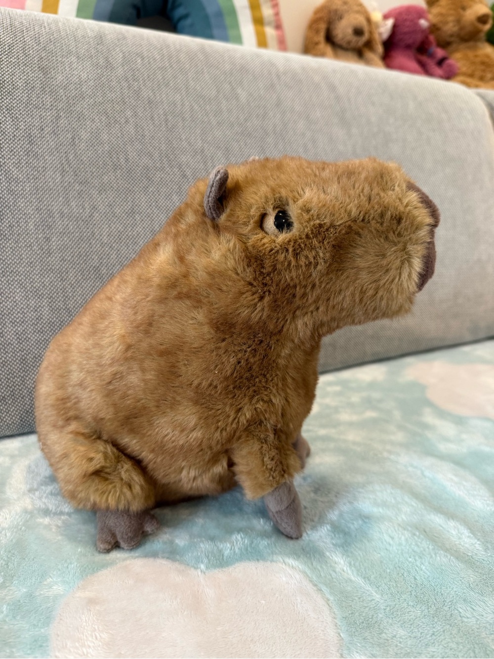 Jellycat Clyde Capybara BNWT